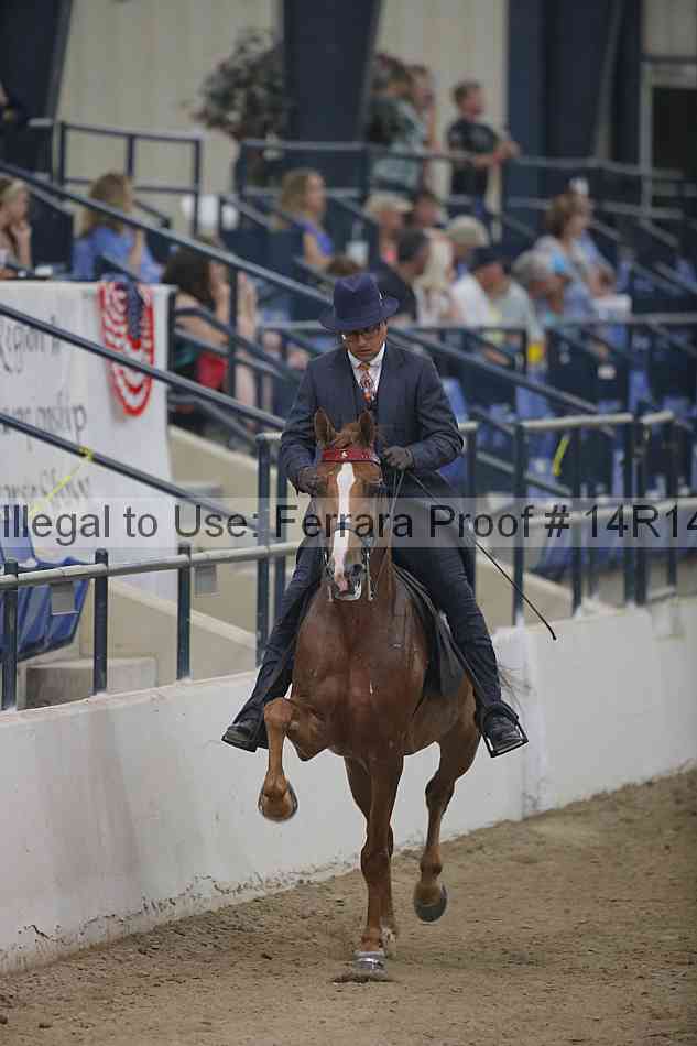 Proof 14r14_3733