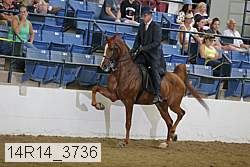 14r14_3736 proof