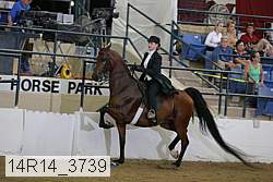 14r14_3739 proof