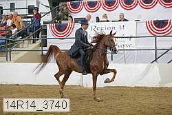 14r14_3740 proof