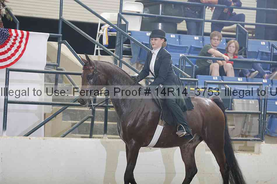Proof 14r14_3753