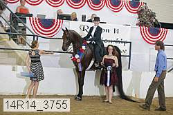 14r14_3755 proof