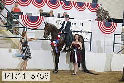 14r14_3756 proof