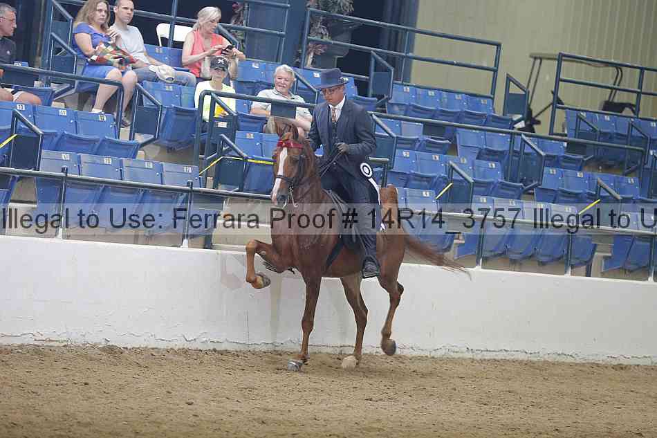 Proof 14r14_3757