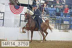 14r14_3759 proof