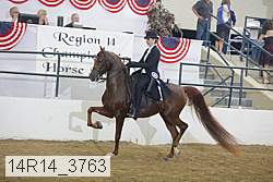 14r14_3763 proof