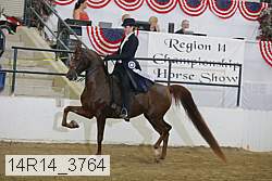 14r14_3764 proof