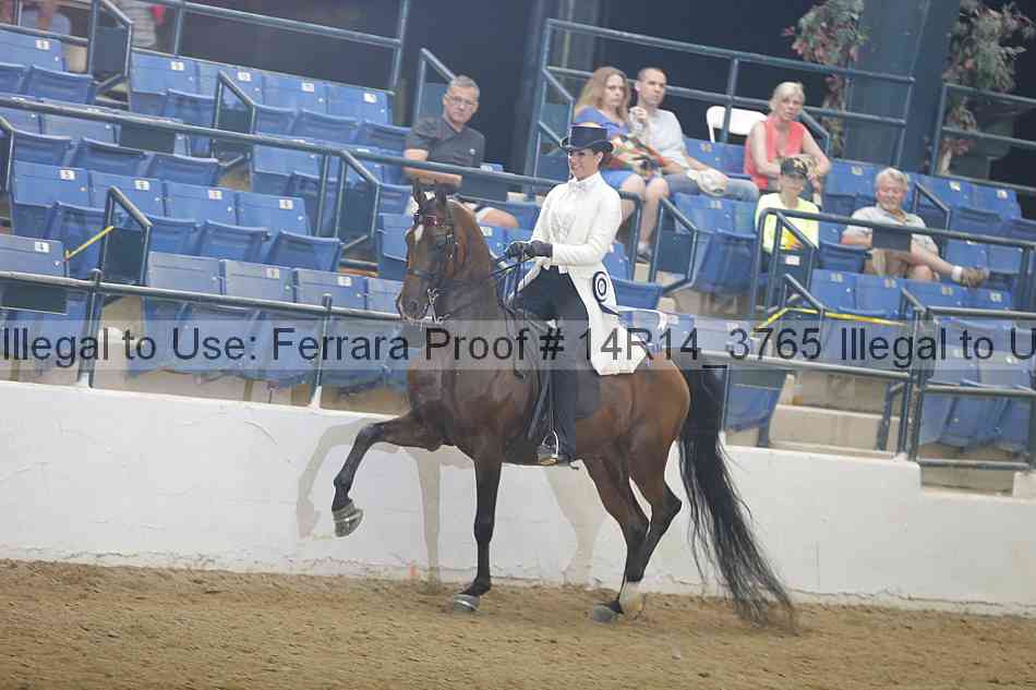 Proof 14r14_3765