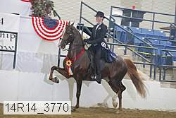 14r14_3770 proof
