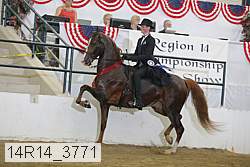 14r14_3771 proof