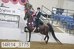 14r14_3775 proof