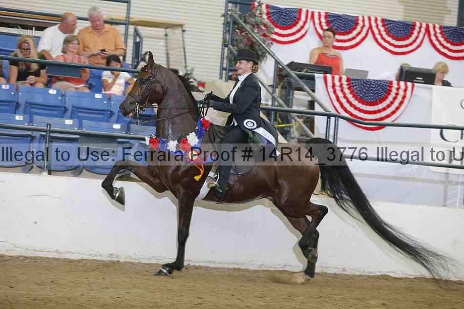 Proof 14r14_3776