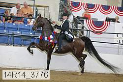 14r14_3776 proof