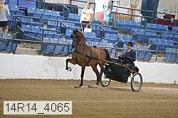 14r14_4065 proof