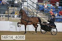 14r14_4066 proof