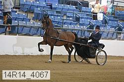 14r14_4067 proof