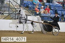 14r14_4071 proof
