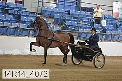 14r14_4072 proof