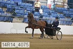 14r14_4075 proof