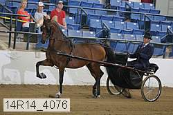 14r14_4076 proof