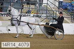 14r14_4079 proof