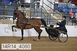 14r14_4080 proof
