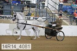 14r14_4081 proof