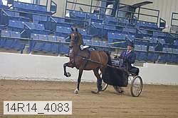 14r14_4083 proof