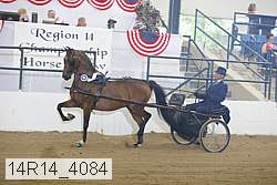 14r14_4084 proof