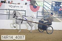 14r14_4087 proof
