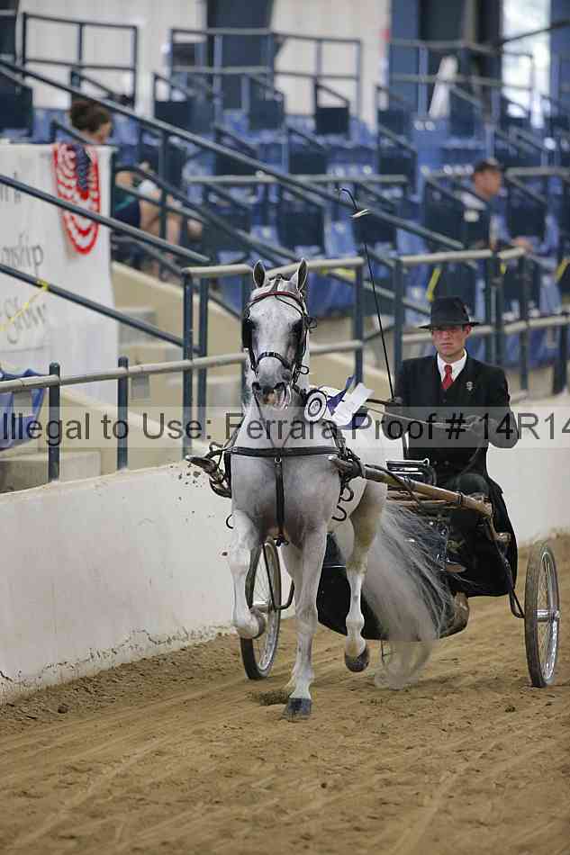Proof 14r14_4091