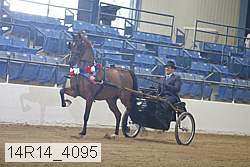 14r14_4095 proof