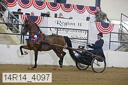 14r14_4097 proof