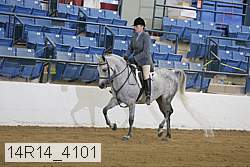 14r14_4101 proof