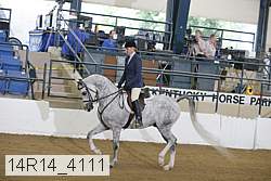 14r14_4111 proof