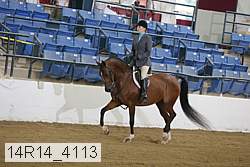 14r14_4113 proof