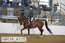 14r14_4115 proof