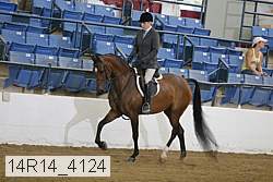 14r14_4124 proof