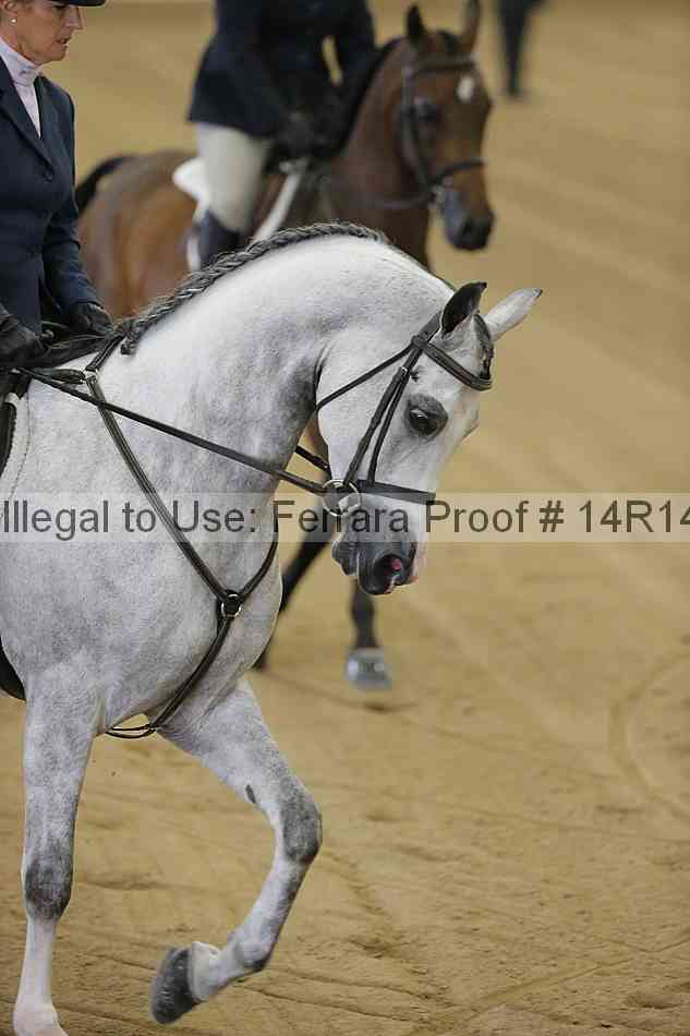 Proof 14r14_4127