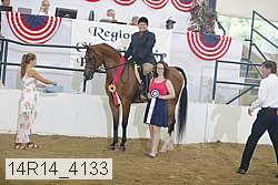 14r14_4133 proof