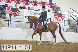 14r14_4154 proof