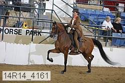 14r14_4161 proof