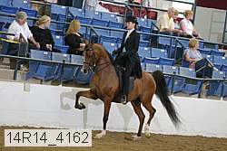 14r14_4162 proof