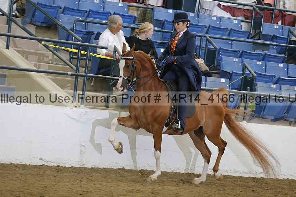 Proof 14r14_4166