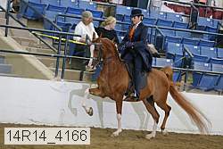 14r14_4166 proof