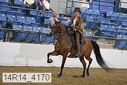 14r14_4170 proof