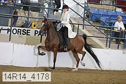 14r14_4178 proof
