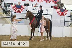 14r14_4181 proof