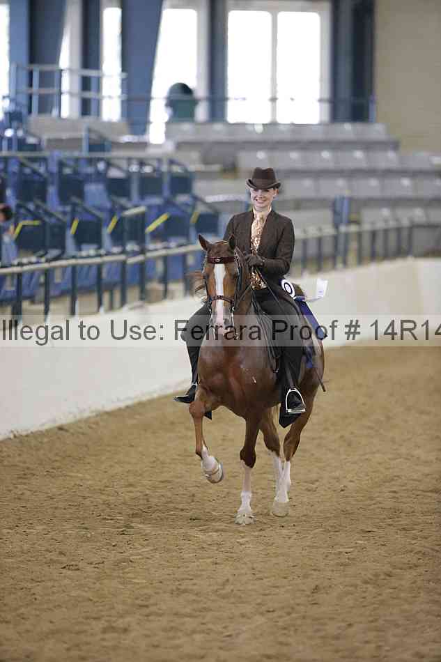 Proof 14r14_4191