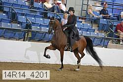 14r14_4201 proof